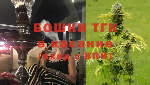 ПСИЛОЦИБИНОВЫЕ ГРИБЫ Яранск