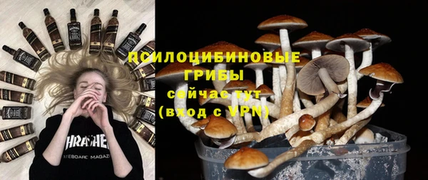 твердый Аркадак